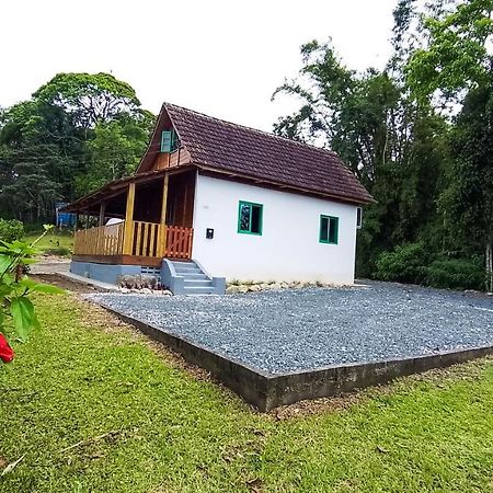 Villa Casa Do Tesouro à Joinville Extérieur photo