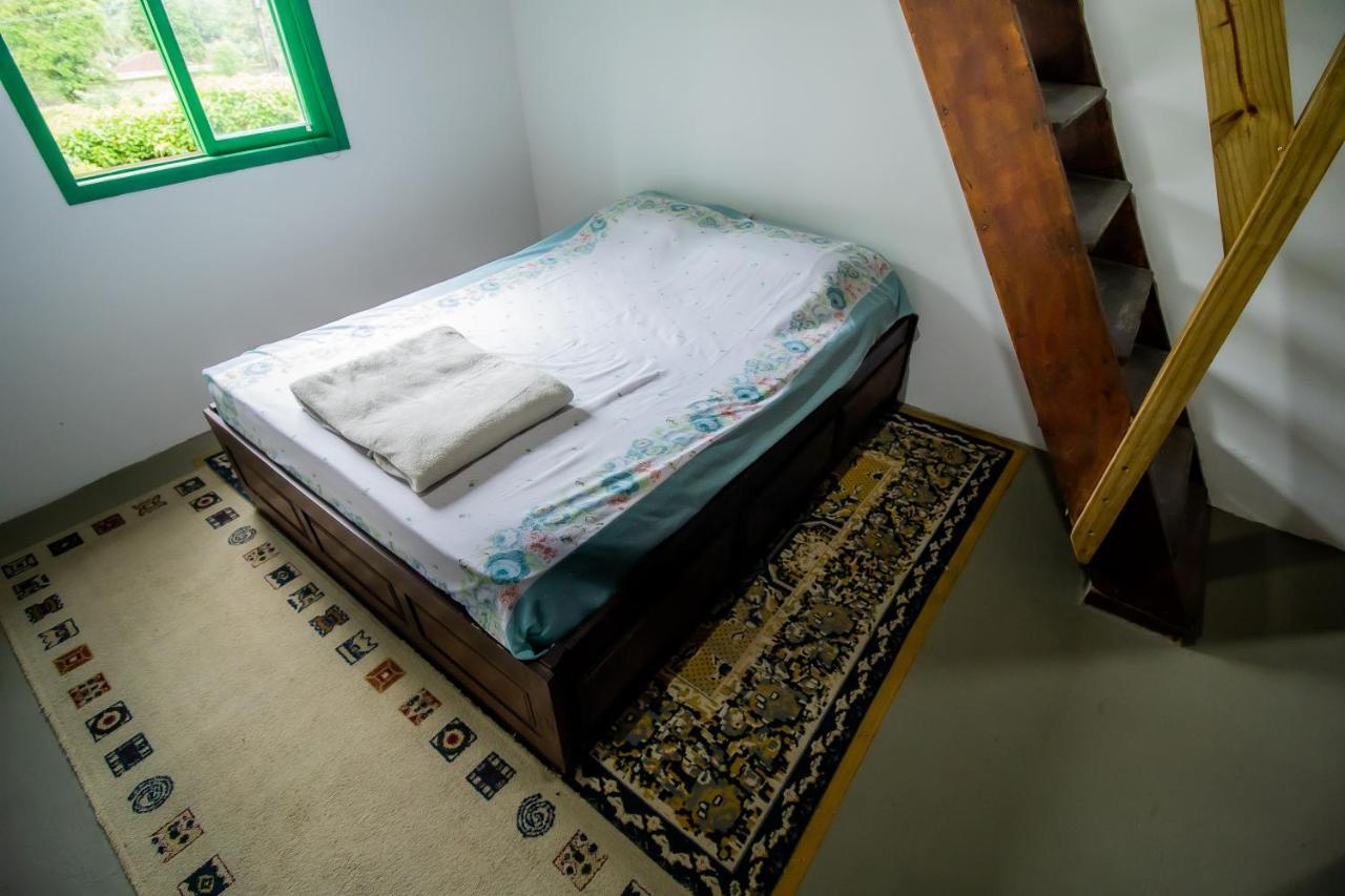 Villa Casa Do Tesouro à Joinville Extérieur photo