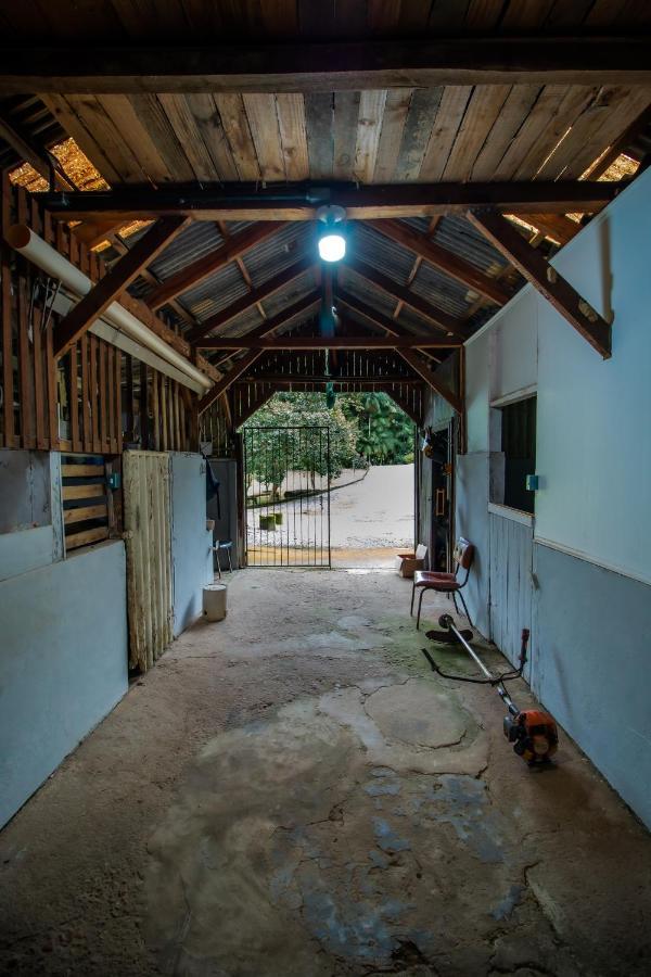 Villa Casa Do Tesouro à Joinville Extérieur photo